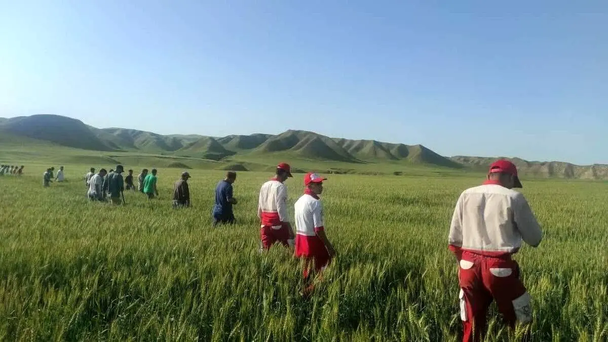 کشف جسد دختر گمشده بعد از دوسال در زمین کشاورزی/ دو دست از زیر خاک بیرون بود!