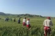 کشف جسد دختر گمشده بعد از دوسال در زمین کشاورزی/ دو دست از زیر خاک بیرون بود!