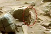 مشاهده آدم فضایی واقعی!+عکس