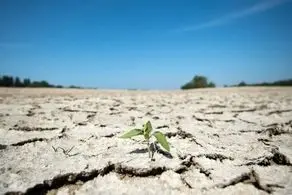 تهدید جدید برای فرانسه آغاز شد