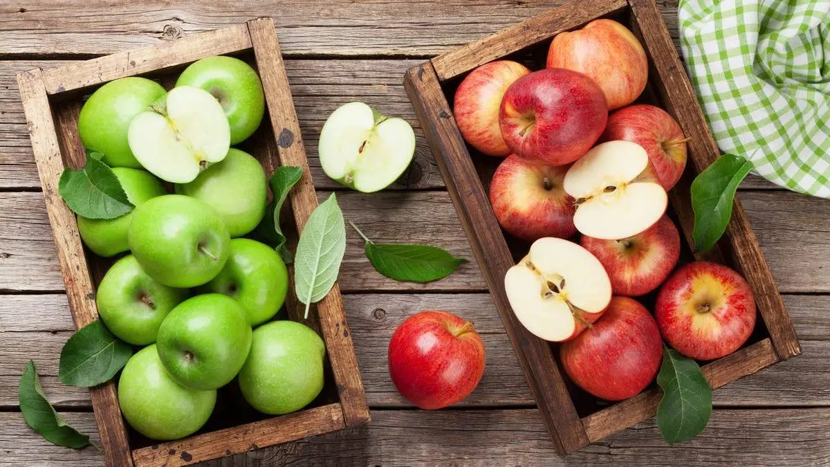 برای پیشگیری از سرطان روده هر روز این میوه را بخورید
