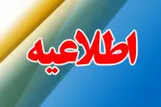 ماجرای قطع ۴هزار درخت در مازندران فاش شد!