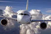  اقدام شرم آور زن جوان در توالت هواپیما برملا شد!

