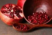 میوه مهارکننده آنفولانزا 