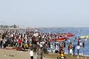 در رستوران‌ها و سفرخانه‌ها، خوراک حرام سرو می‌شود! 