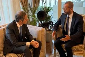 دیدار وزیر خارجه عمان با گروسی