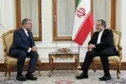 سفیر برزیل رونوشت استوارنامه خود را تسلیم عراقچی کرد