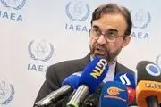 نجفی: قطعنامه شورای حکام، وضعیت فعلی را پیچیده‌تر می‌کند