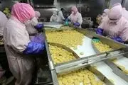 کاهش ۵۰ درصدی فروش صنایع غذایی