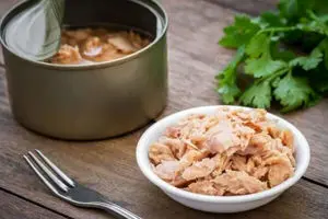 قیمت جدید کنسرو تن ماهی