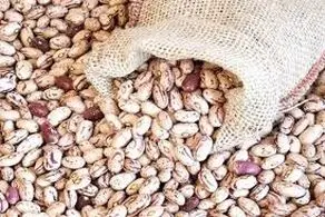  مردم لوبیاچیتی را ۵۰۰ هزار تومان نخرید/ اعلام قیمت واقعی لوبیاچیتی 