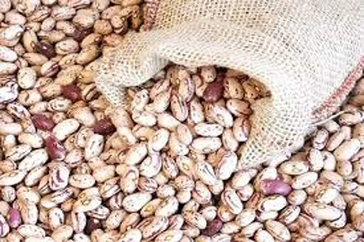 قیمت جدید لوبیاچیتی در بازار