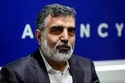 واکنش بهروز کمالوندی به اظهارات عجیب گروسی درباره برجام دو‌