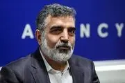 واکنش سخنگوی سازمان انرژی اتمی به اظهارات وزیر خارجه آمریکا
