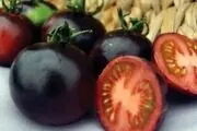 هرگز این قسمت ها در گوجه فرنگی و بادمجان را نخورید!