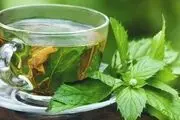 سم زدایی بدن با این نوشیدنی گیاهی