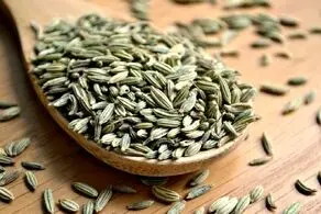 سرعت رژیم خود را با این گیاه افزایش دهید