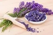 به جای مفنامیک اسید این گیاه را نوش جان کنید