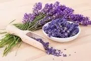 به جای مفنامیک اسید این گیاه را نوش جان کنید