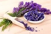 به جای مفنامیک اسید این گیاه را نوش جان کنید