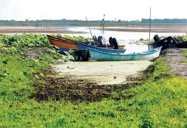 تعرض سودجویان به تالاب انزلی در میانه جنگ