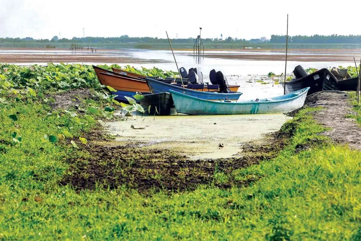 تعرض سودجویان به تالاب انزلی در میانه جنگ