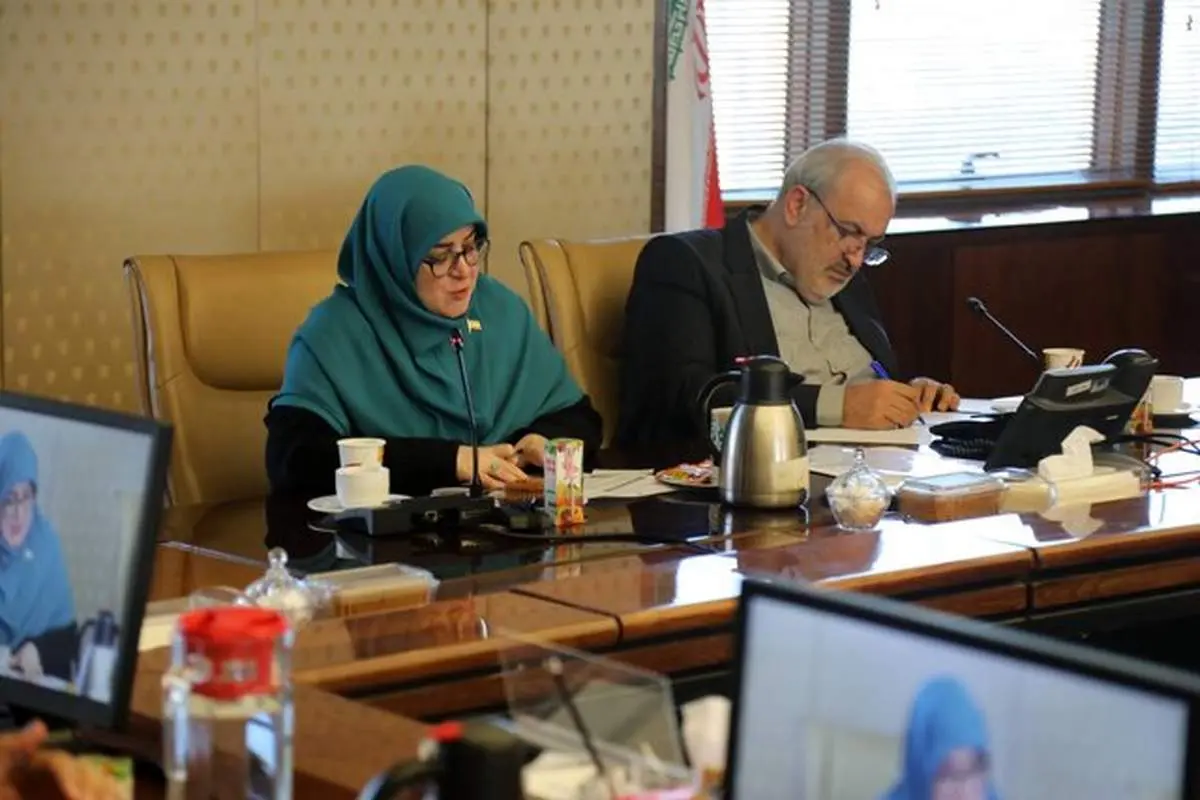 سخنگوی دولت: از ناترازی انرژی در تابستان عبور کردیم