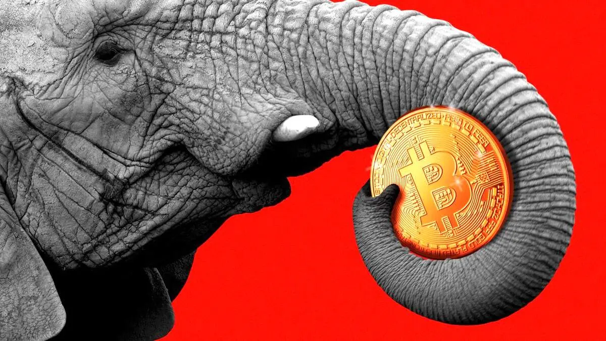 علاقمندی‌های این جریان سیاسی به ارز دیجیتال بیشتر شد!+جزییات