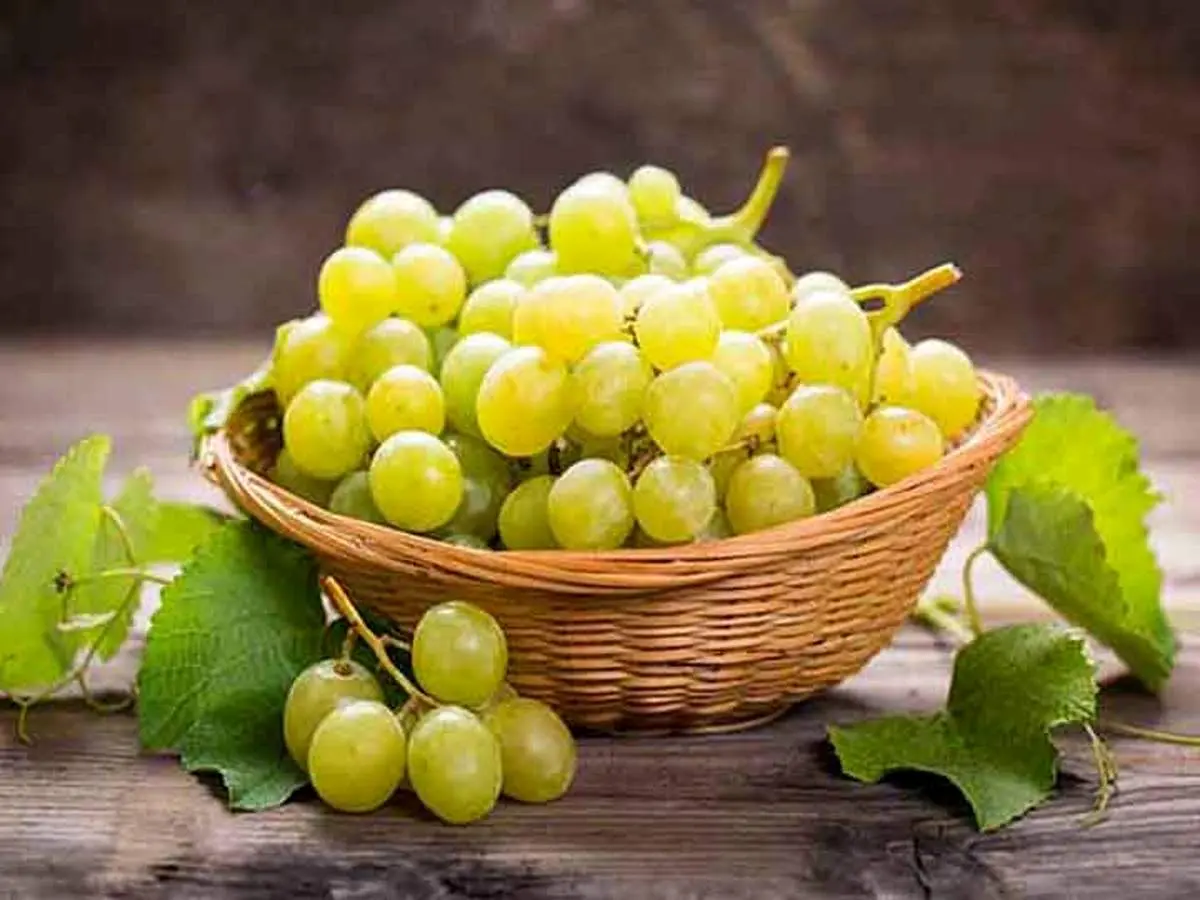 این میوه عالی از مسمومیت غذایی جلوگیری میکند!