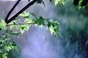 زمستان به ایران بازگشت؟/ برف و باران در راه است!