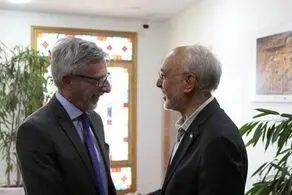 دیدار سفیر فرانسه با علی اکبر صالحی 