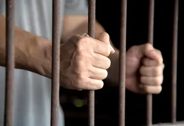 ضیا نبوی آزاد شد 