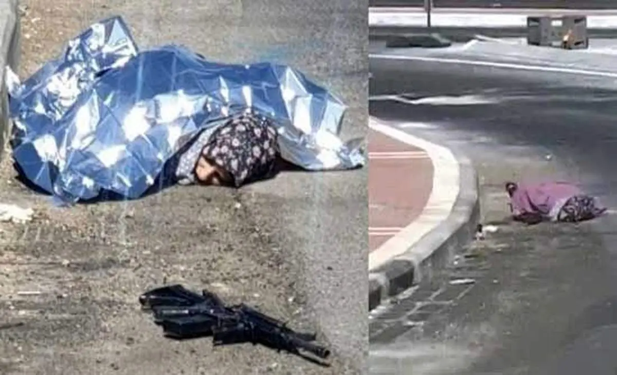 جنایتی دیگر از سوی شهرکنشینان صهیونیست صورت گرفت