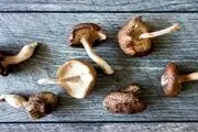 قارچ اعجاب انگیز و فوق العاده برای بدن