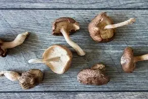قارچ اعجاب انگیز و فوق العاده برای بدن