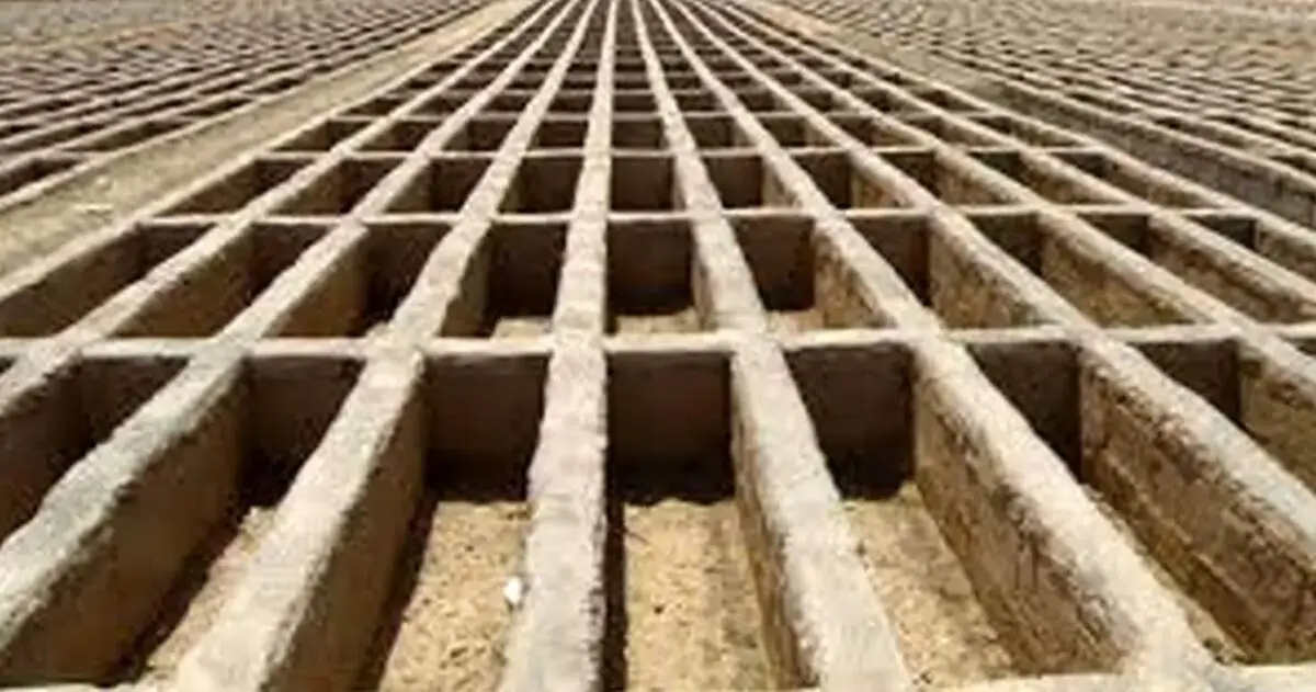عکسی وحشتناک و پردرد از یک گورخواب/ تصویر