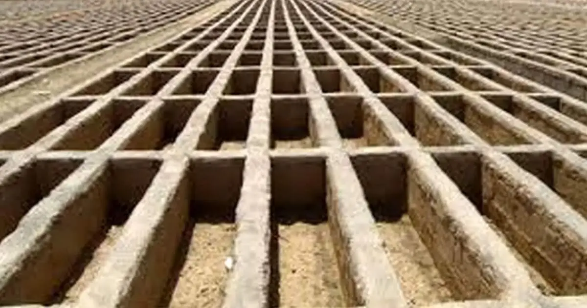 عکسی وحشتناک و پردرد از یک گورخواب/ تصویر