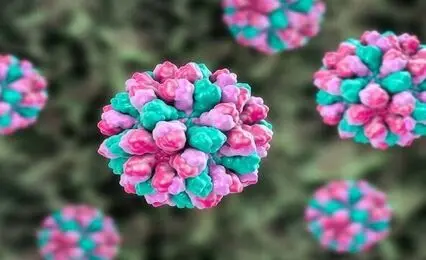 هشدار درباره ویروس HPV؛ سن مراجعه به ۱۶ سال رسید