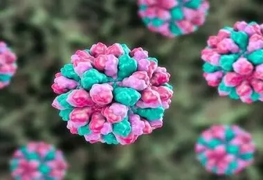 هشدار درباره ویروس HPV؛ سن مراجعه به ۱۶ سال رسید