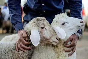 پیام تبریک عید قربان امسال با متن های ادبی زیبا