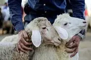 پیام تبریک عید قربان امسال با متن های ادبی زیبا
