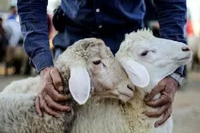 پیام تبریک عید قربان امسال با متن های ادبی زیبا