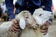 پیام تبریک عید قربان امسال با متن های ادبی زیبا