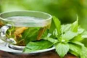 این گیاهی را مصرف کنید تا همه چیز را به راحتی یاد بگیرید!