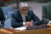سعید ایروانی: همدردی با غزه کافی نیست