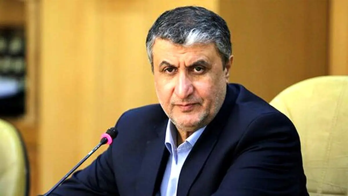 دوربین‌های برجامی غیر فعال شد!