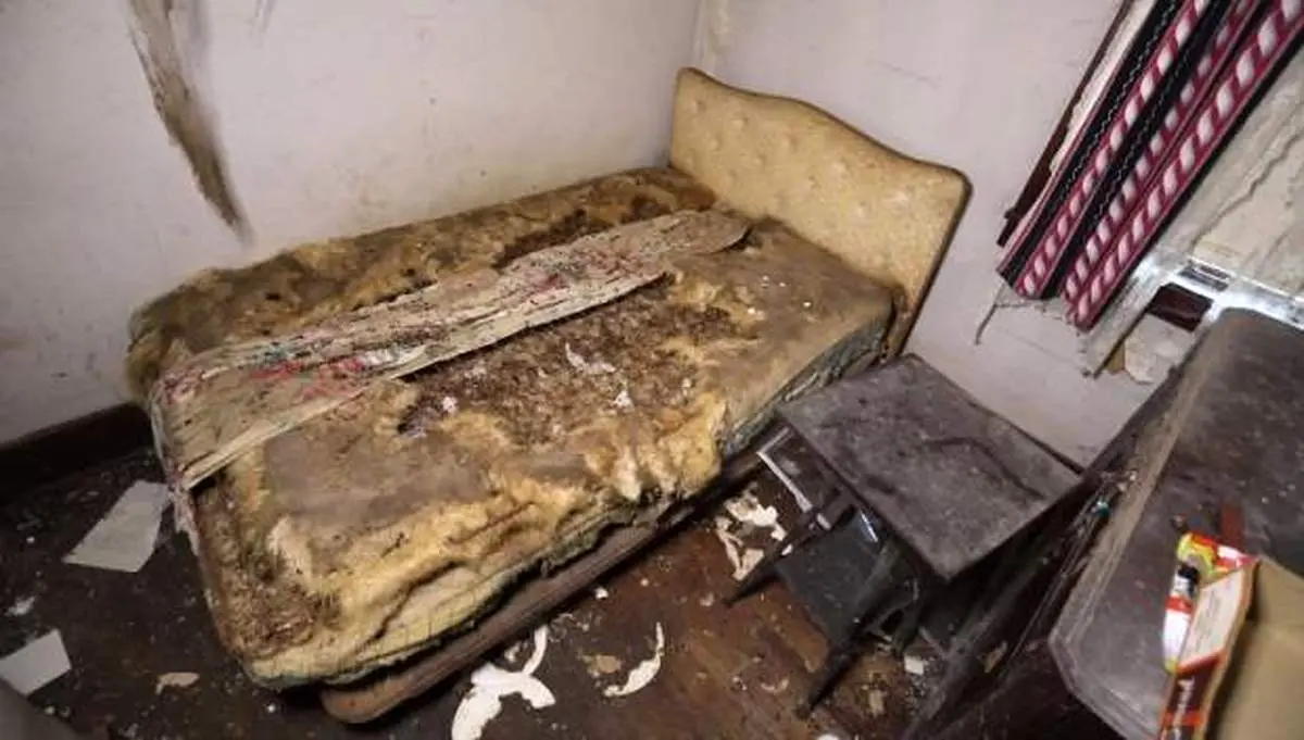 موشها و سگ زن بیچارهی تنها را خوردند!+ عکس