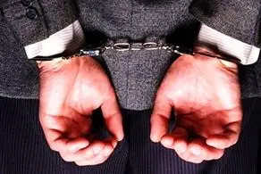 امیرنصر آزادانی، بیتا حقانی و احسان پیربرناش به چندسال زندان محکوم شدند؟