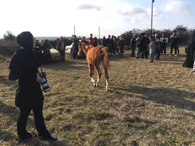 همایش پیاده روی خانوادگی در روستای  اسکنده سرخ رود