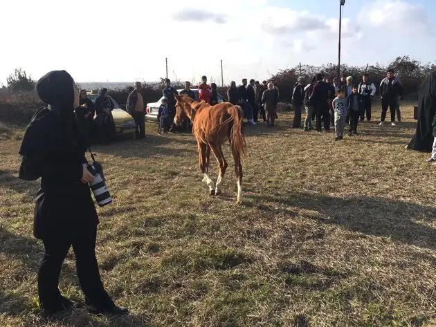 همایش پیاده روی خانوادگی در روستای  اسکنده سرخ رود